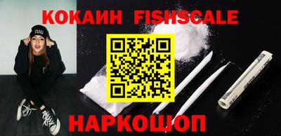шишки Новодвинск