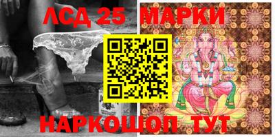 шишки Новодвинск