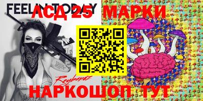 шишки Новодвинск