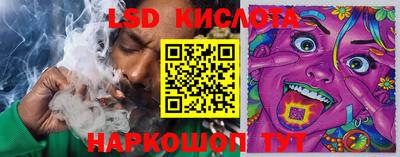 шишки Новодвинск
