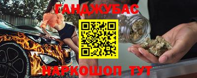 шишки Новодвинск