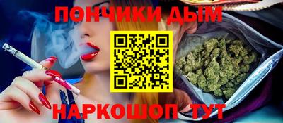 шишки Новодвинск