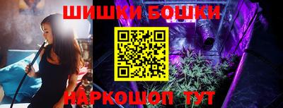 шишки Новодвинск