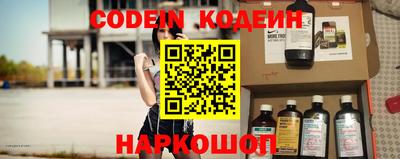 шишки Новодвинск