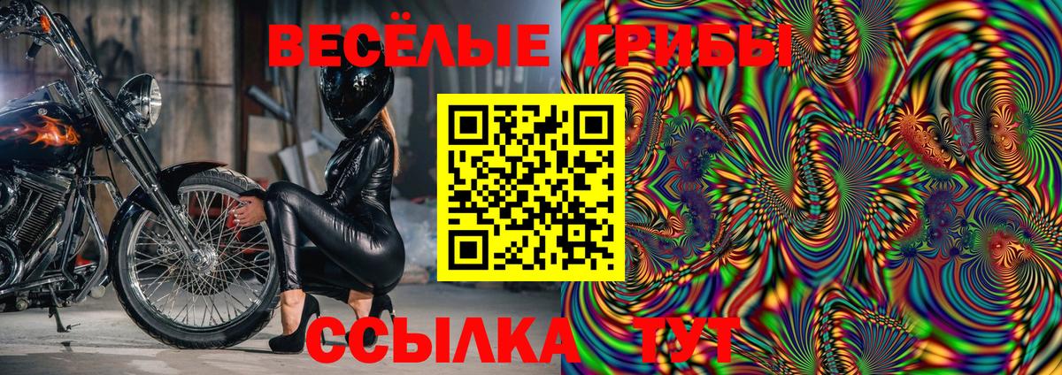 Псилоцибиновые грибы Psilocybine cubensis  Вход с VPN  Галлюциногенные грибы Magic Shrooms  Ростов-на-Дону 